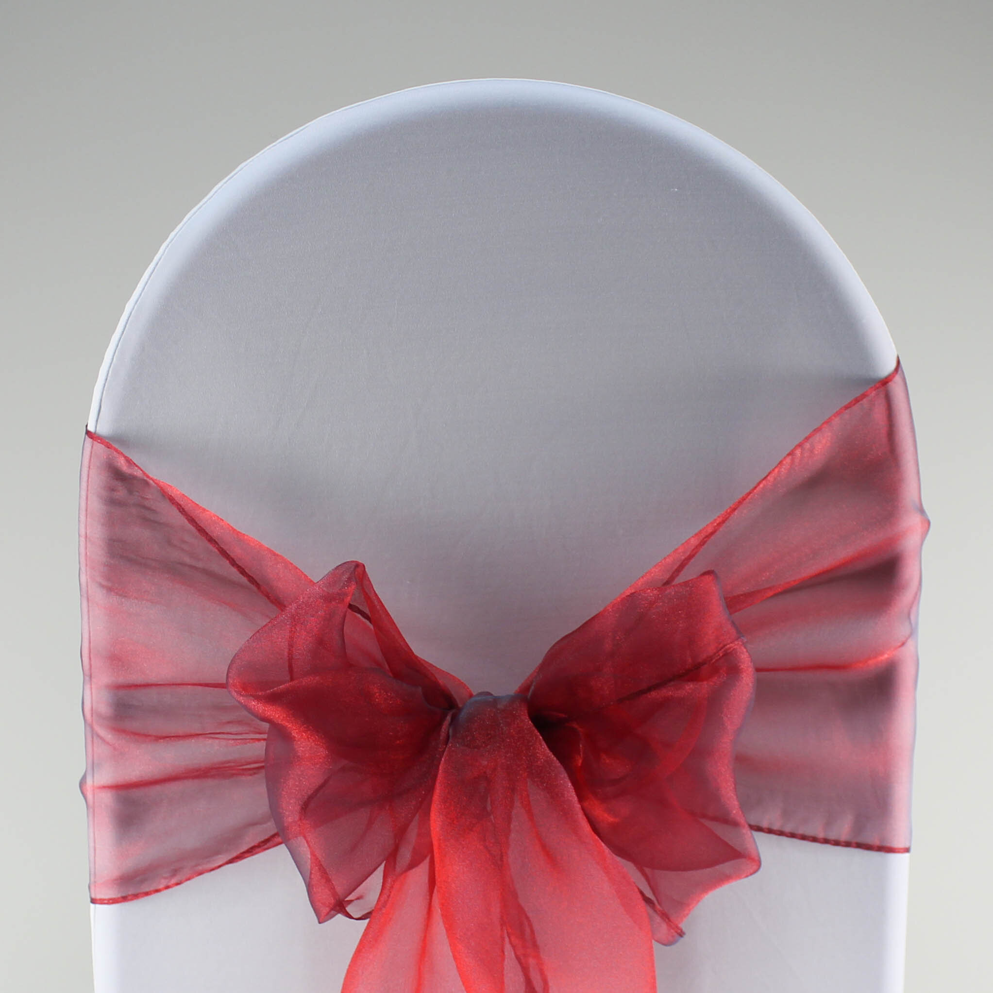 Organza Chair Sash - Image 33