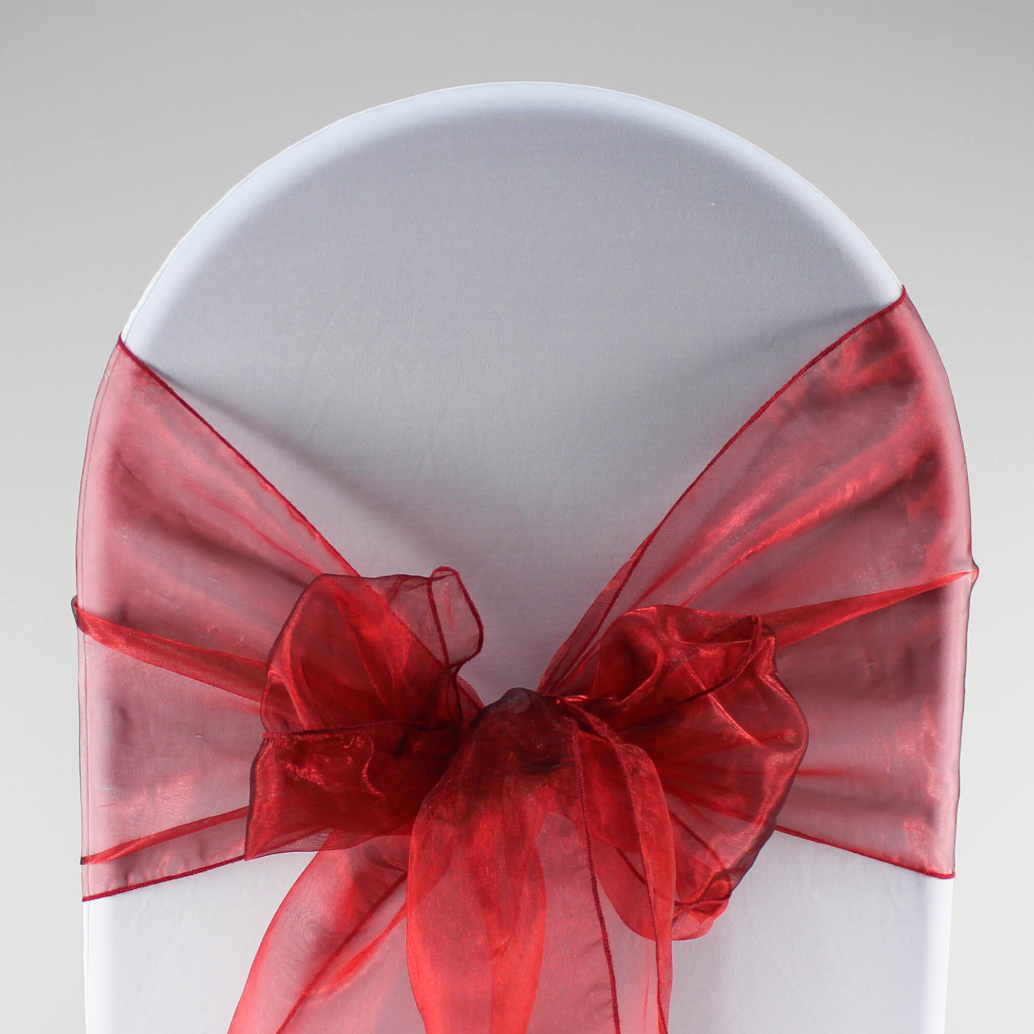 Organza Chair Sash - Image 32